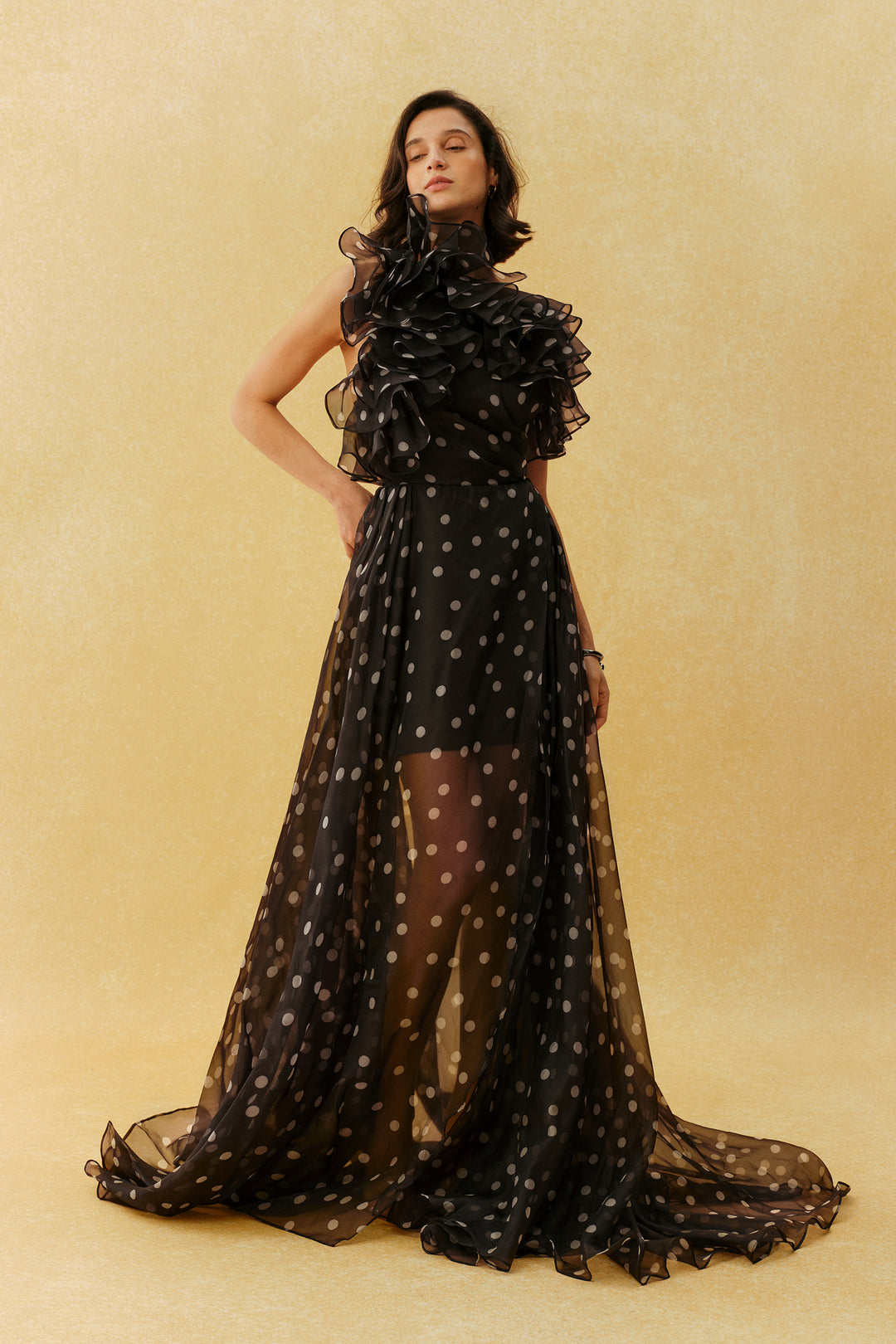 Schwarzes Polka-Dot Maxikleid mit Rüschenkragen, das als Detail aufgenommen wurde